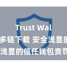 Trust Wallet支持多链下载 安全浅显的信任钱包责罚式样